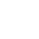 molusso-01